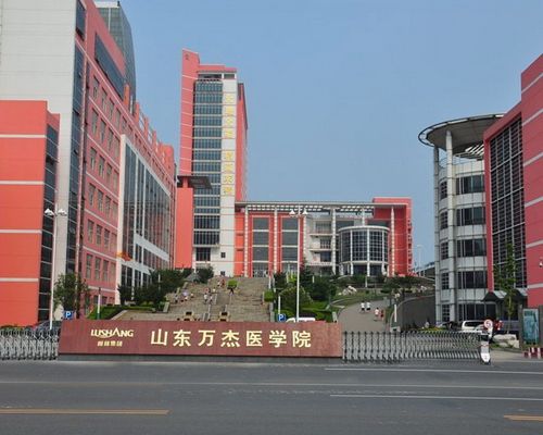山东万杰医学院优势有哪些？