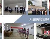 专业分类