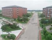 学校风光