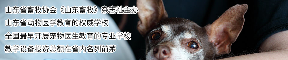 招生简章_山东现代畜牧兽医专修学校