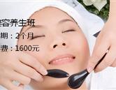 开设课程