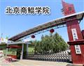 北京商鲲学院