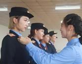 专业展示