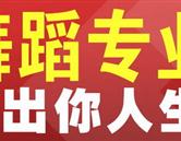石家庄华艺高考艺术生培训学校