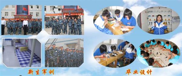 青岛海信中心联校收费标准是什么？