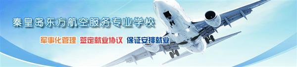 河北哪所学校开设了航空服务专业？