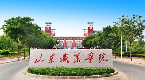 山东职业学院有哪些教学成果？