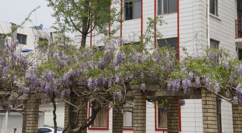 山东学铁路就选择山东煤炭技师学院！