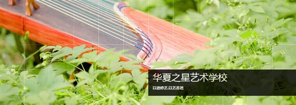 华夏之星艺术学校有什么优势