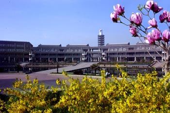 哪所学习有软件与信息服务专业？   