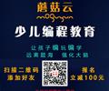 济宁蘑菇云少儿编程