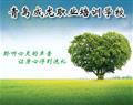 青岛成龙职业培训学校