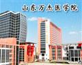山东万杰医学院
