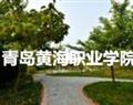 青岛黄海职业学院