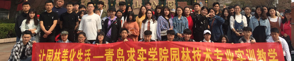 招生简章_青岛求实职业技术学院