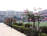 石家庄经济职业学院