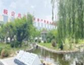学校环境