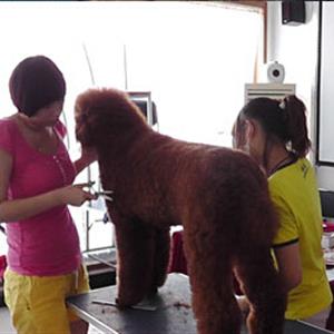 C级美容师精研班